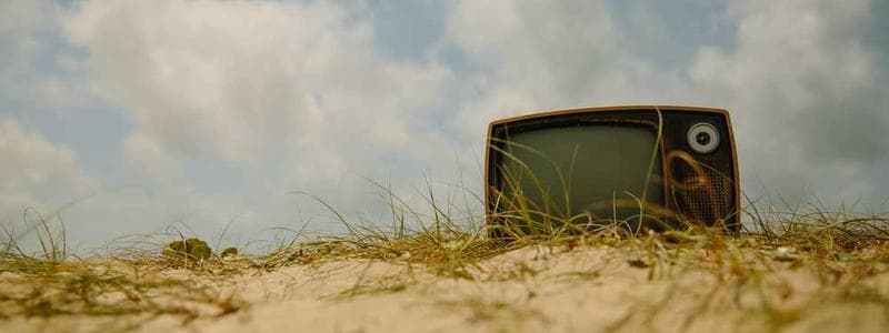 대학원일지 | 어쩌다가 석사 4편